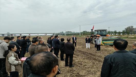 淮北市召開2025年秋種現場觀摩會